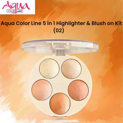 Aqua Color Line 5 in 1 Highlighter & Blush on Kit (02)