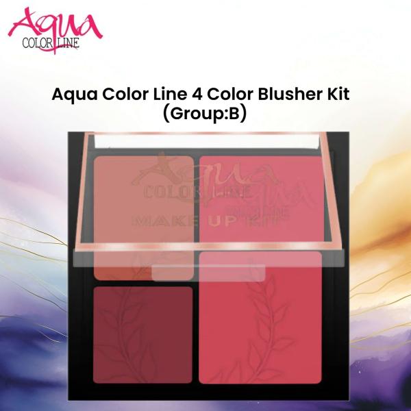 Aqua Color Line 4 Color Blusher Kit (Group:C)