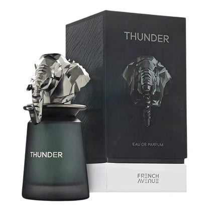 Thunder By French Avenue Eau De Parfum 100ml For Men & Women