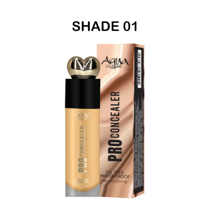 Aqua Color Line Pro Concealer Oil Free Waterproof Shade 01