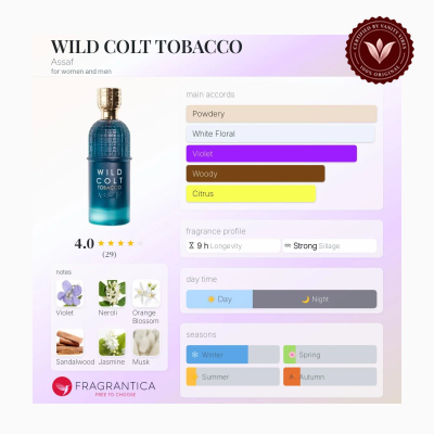 Assaf Wild Colt Tobacco 100ml fragrance profile information graphic | Vanity Vibes Pakistan